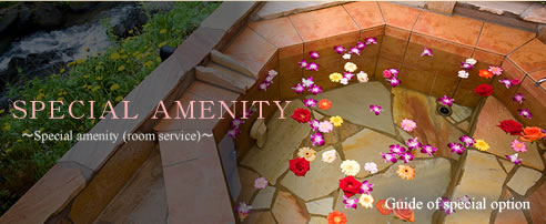 �X�y�V�����I�v�V�����̂��ē�