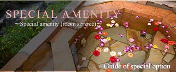 �X�y�V�����I�v�V�����̂��ē�