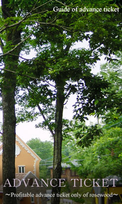 �O���茔�̂��ē�