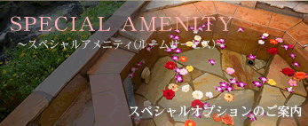 �X�y�V�����I�v�V�����̂��ē�